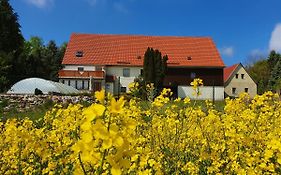 Alte Schaeferei Bad Gottleuba