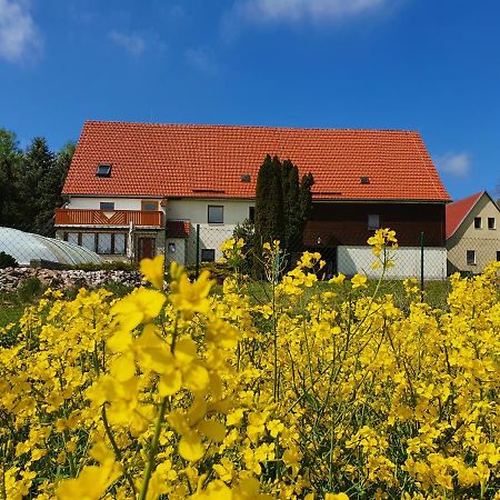 Вилла Alte Schaeferei Bad Gottleuba Экстерьер фото