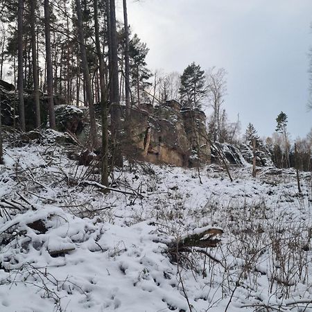 Вилла Alte Schaeferei Bad Gottleuba Экстерьер фото