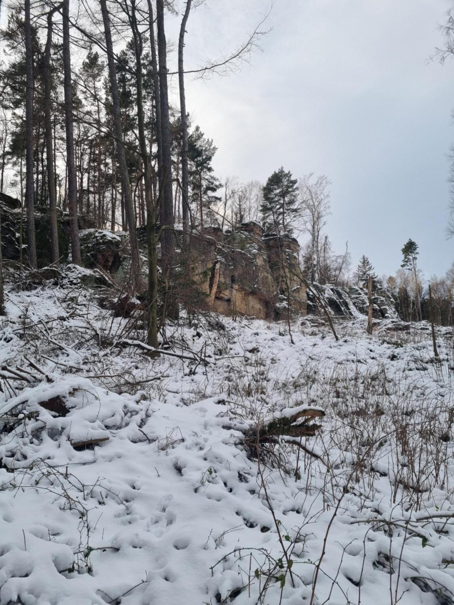 Вилла Alte Schaeferei Bad Gottleuba Экстерьер фото