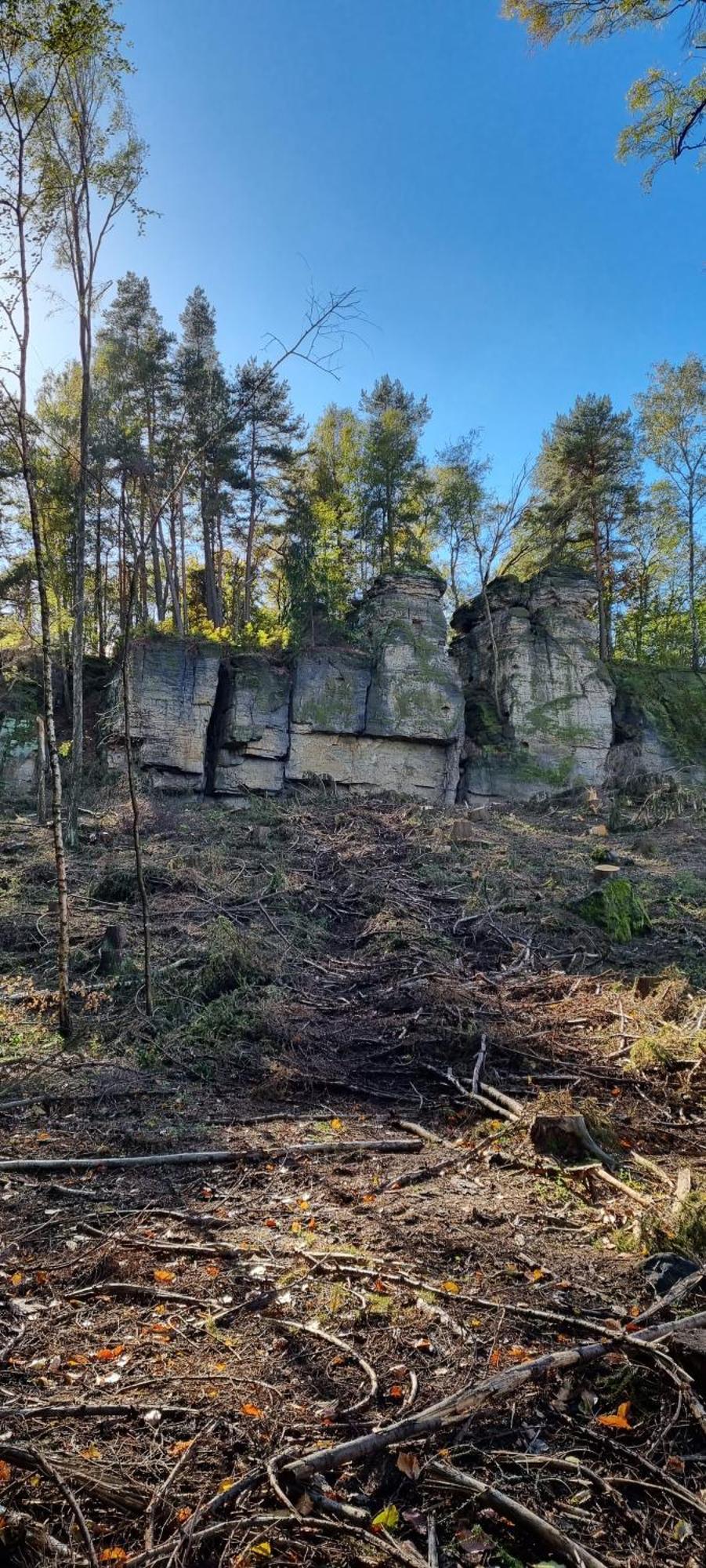 Вилла Alte Schaeferei Bad Gottleuba Экстерьер фото